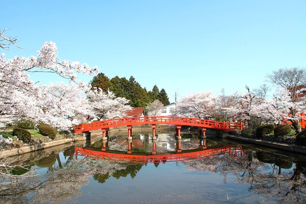 ⛩️ 이미노미야 신사 (토요우라노미야) 이미지 8